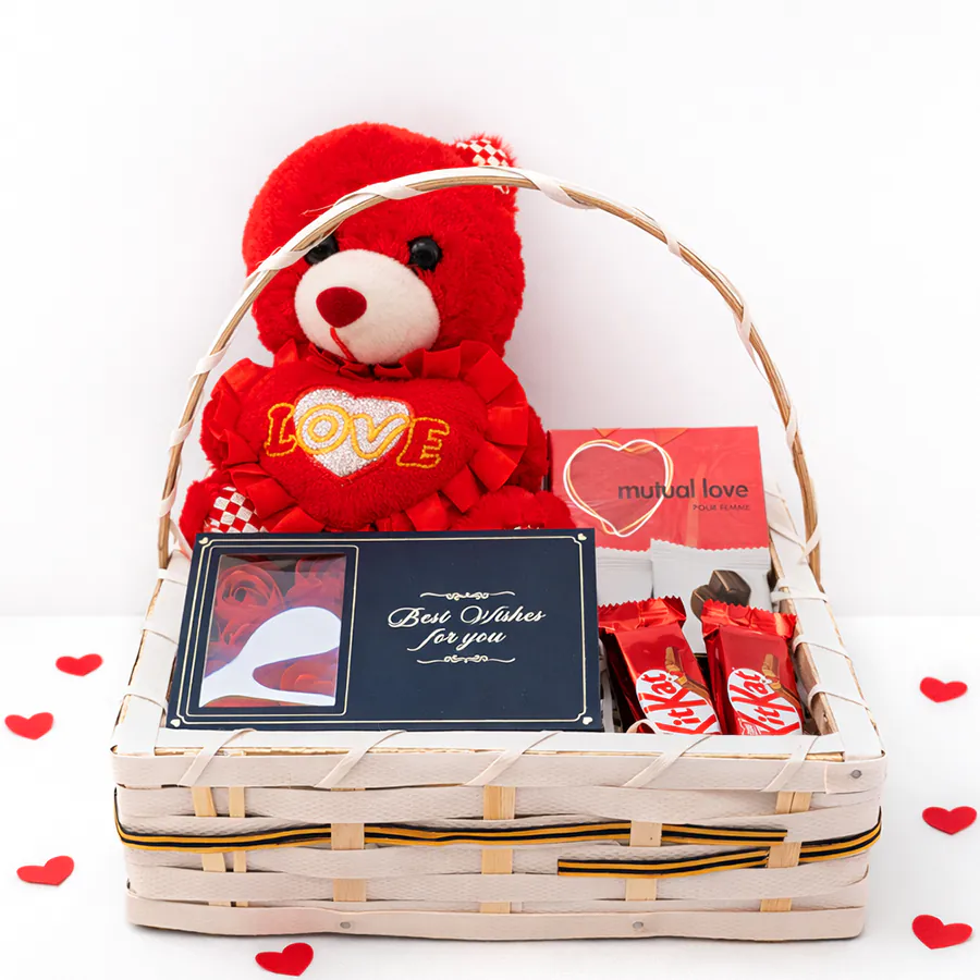 Cuddle of Love Gift Basket